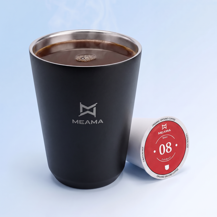 ბრაზილია 08